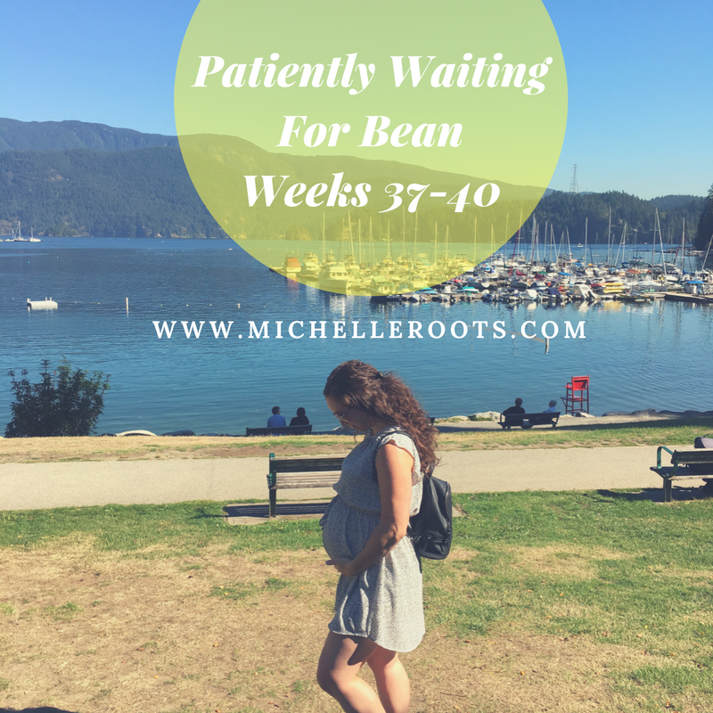 Patiently Waiting For Bean – Weeks 37-40
